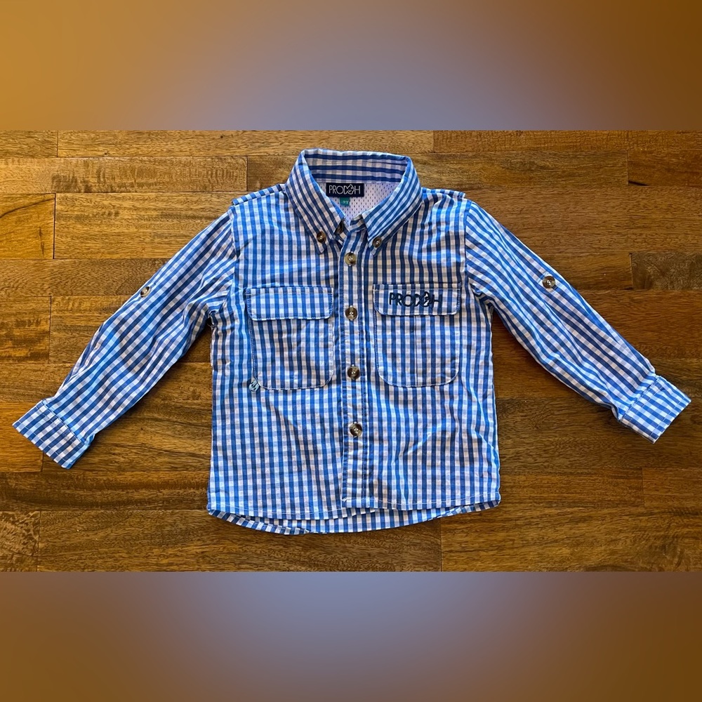 Classic Blue and White Gingham Button Down Shirt